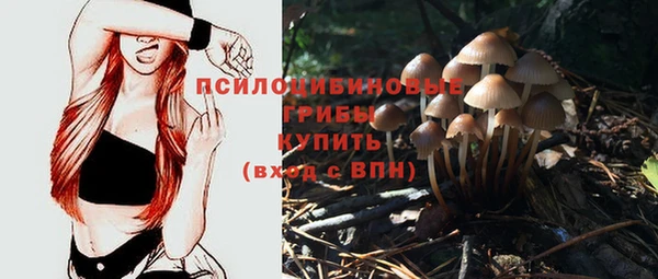 гидропоника Алексеевка