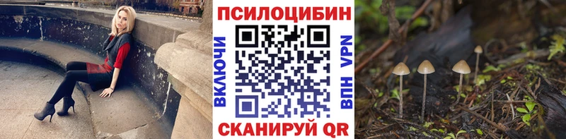 Псилоцибиновые грибы Cubensis  Медынь 
